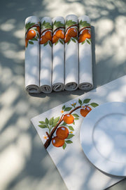 Citrus Dream Placemats Set